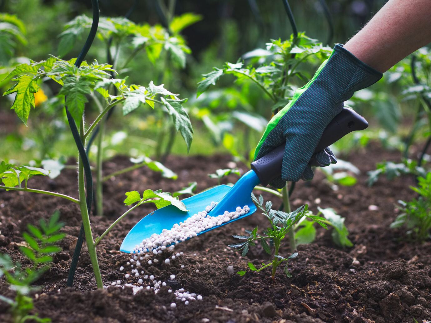 gardening