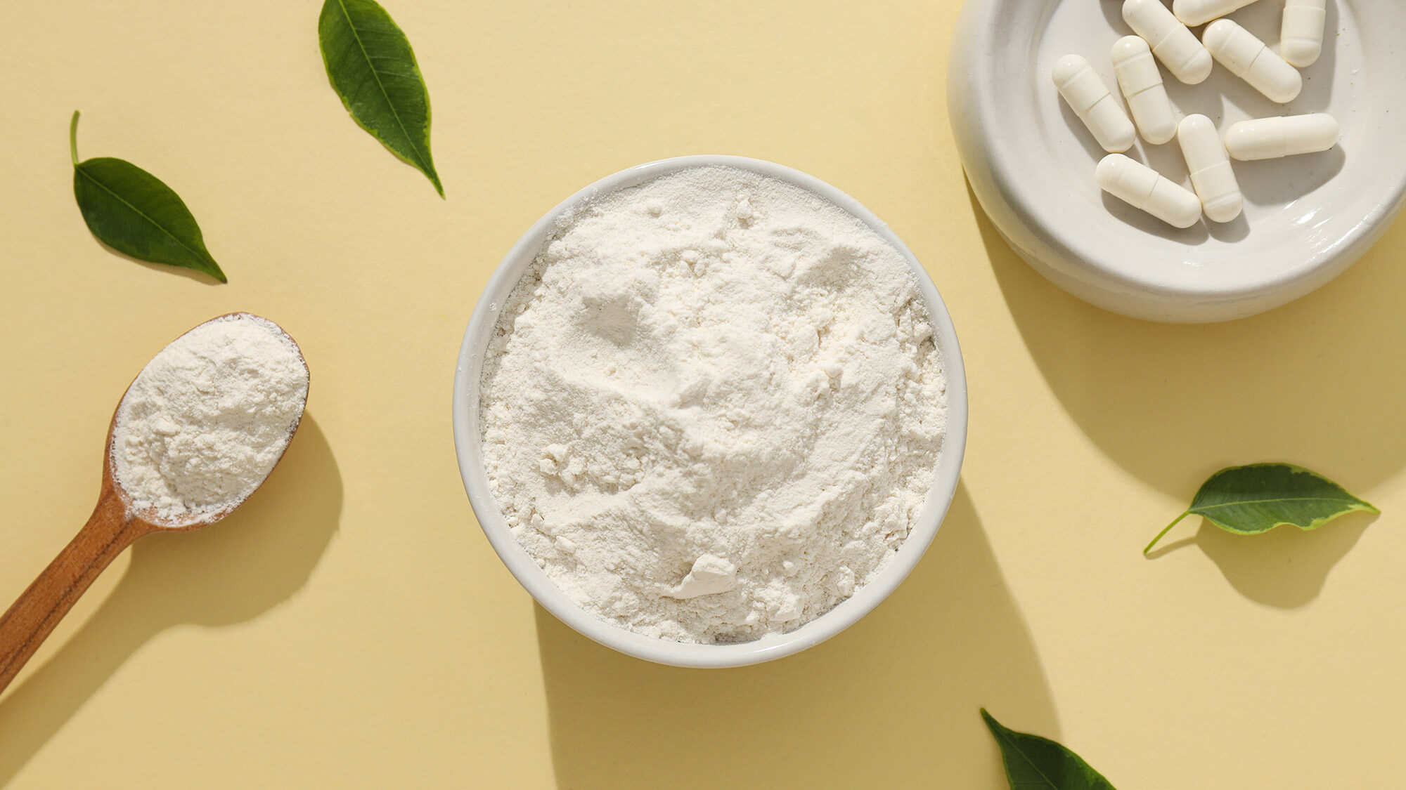 Pharmaceutical Ingredient Suppliers(02)