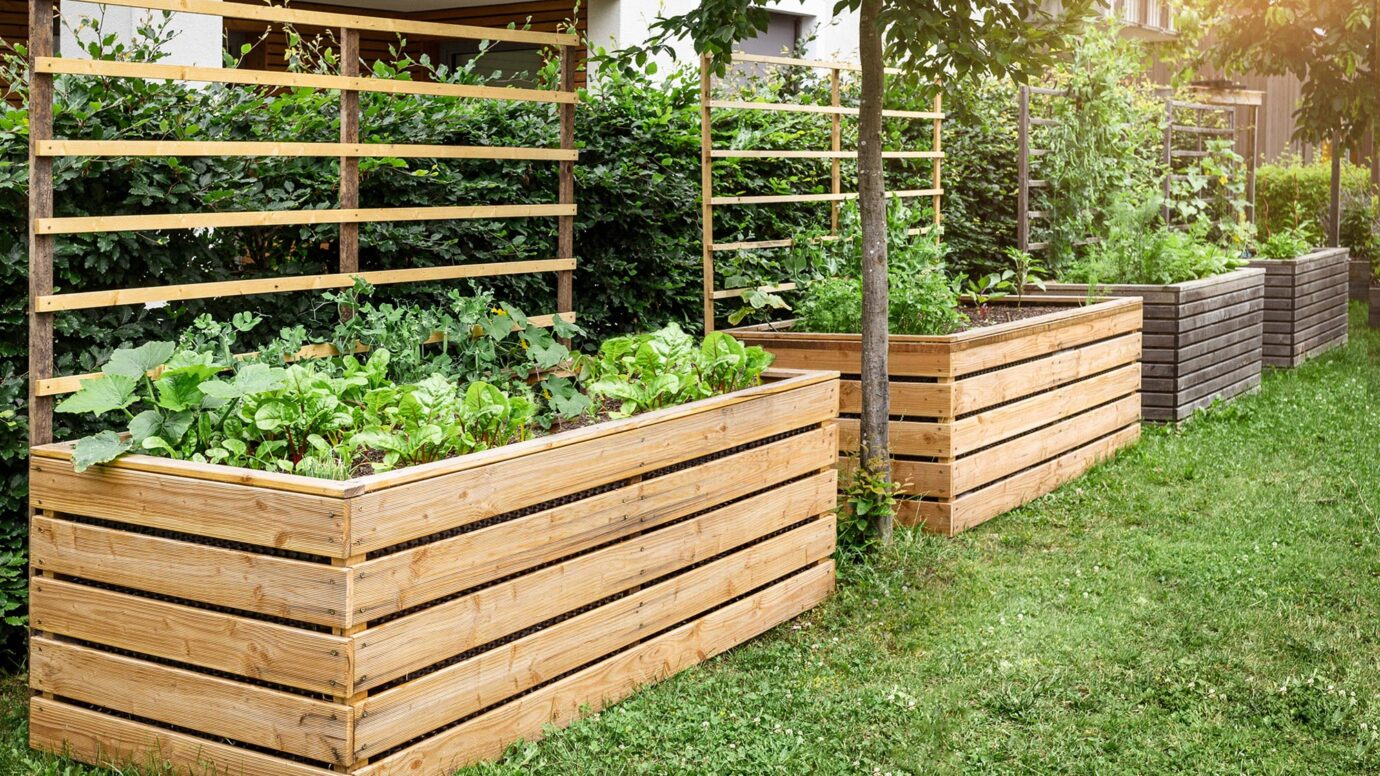 raised garden beds